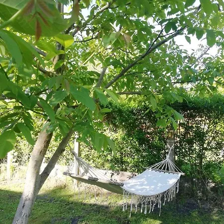 Feriehus - Balaton 26709