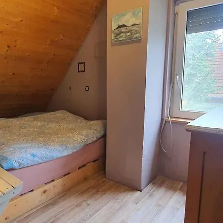 Feriehus - Balaton 26709 *