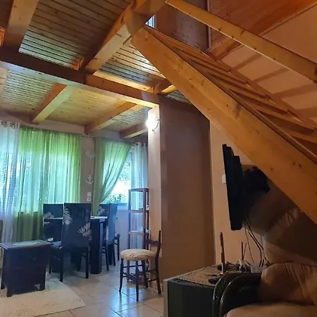 Feriehus - Balaton 26709 *