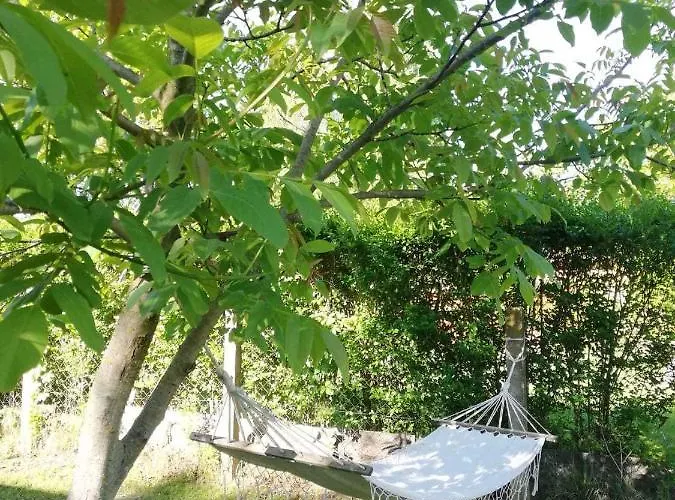 度假居 - Balaton 26709