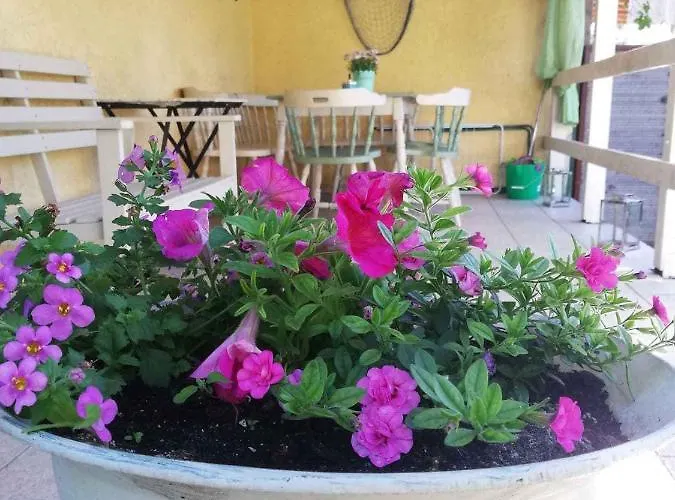 度假居 - Balaton 26709 *