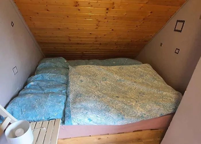 度假居 - Balaton 26709 *