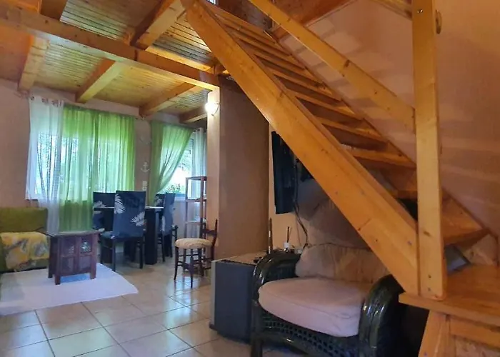 度假居 - Balaton 26709 *